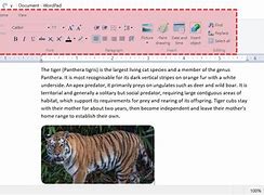 Image result for WordPad Drafts