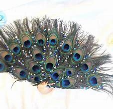 Image result for Peacock Feather Fan