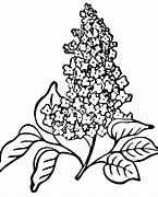 Image result for Lilac Clip Art Black and White