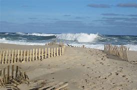 Image result for Cape Cod Beach