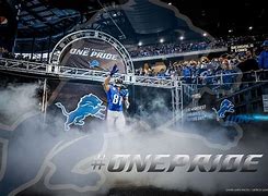 Image result for Detroit Lions 3D Wallpaper