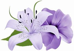 Image result for Purple Lily Flower Clip Art