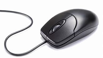 Image result for Copher Mouse