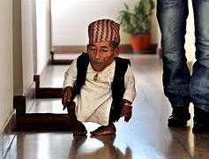 Image result for Shortest Man Family