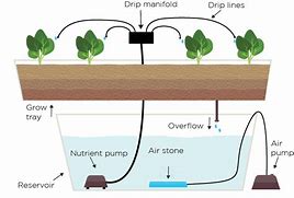 Image result for Hydroponic Watering System