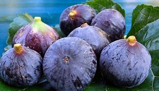 Image result for Fresh Figs in Orange Bucket