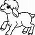 Image result for Baby Lamb Doodle