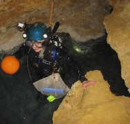 Image result for Movile Cave