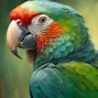 Image result for Tropical Parrot Painting