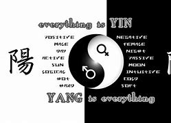 Image result for Cool Yin Yang PFP