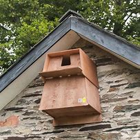 Image result for Barn Owl Nest Box for Tree