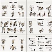 Image result for Bodybuilding Workout Routine