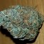 Image result for Tahoe OG Kush