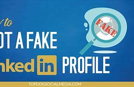 Image result for Fake LinkedIn Profile