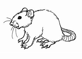 Image result for Mad Rat Outline