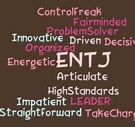 Image result for Commander MBTI