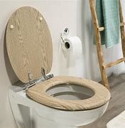 Image result for Bodea Toilet