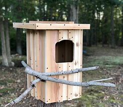 Image result for Barred Owl Nest Box