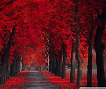 Image result for Red HD Wallpaper 1920X1080