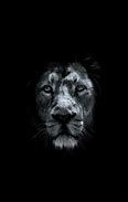 Image result for Dark Lion Full HD Wallpaper