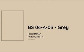 Image result for Bs00a05 Goose Grey