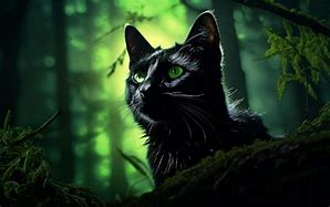 Image result for Green and Black Cat