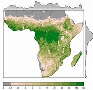 Image result for sub-Saharan Trees