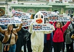 Image result for Peta Foie Gras