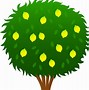 Image result for Lime Tree Clip Art