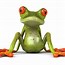 Image result for Harry Frog