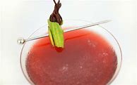 Image result for Hibiscus Cocktail