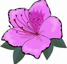 Image result for Purple Lily Flower Clip Art