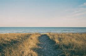 Image result for Cape Cod Beach