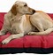 Image result for Specialty Dog Beds