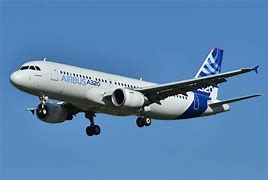 Image result for Airbus A320 Bulk Luggage