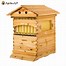 Image result for Honey Bee Hive Flow