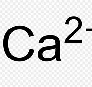 Image result for Calcium Ion Symbol