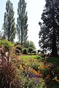 Image result for Lake Constance Mainau