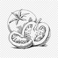 Image result for Lukisan Tomato