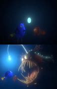 Image result for Angler Fish Nemo