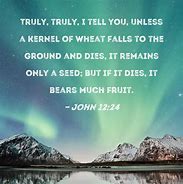 Image result for John 12 24 and Wheat