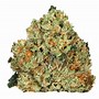 Image result for 1G Og GT Kush