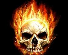 Image result for Halo Flaming Skulls