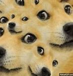 Image result for Yaco Doge GIF