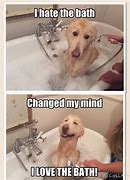 Image result for Green Dog Bathtub Meme