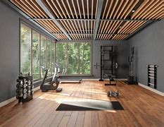 Image result for Gym Lighting Protection