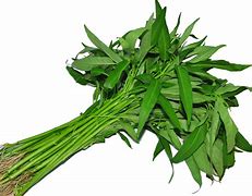 Image result for Kangkong in English Vegetable