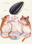 Image result for Gerbil Images