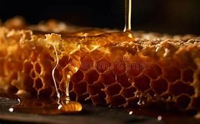 Image result for Honey Drop Nourishing