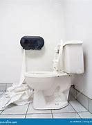 Image result for Toilet Paper Waste